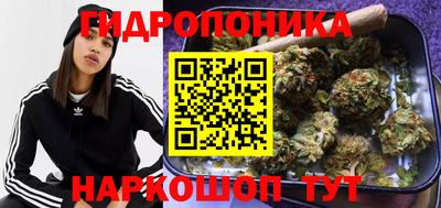 гашиш Заводоуковск