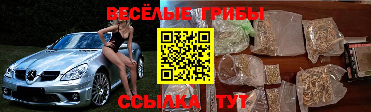 Галлюциногенные грибы мухоморы  Вход с VPN  Лесной 